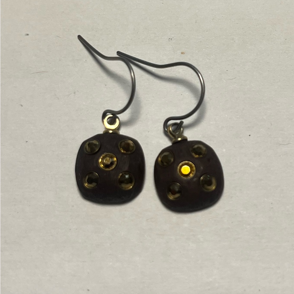 Brown and Gold Earrings